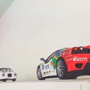 [Hot-wheels] Ferrari F430 challenge 2007 Siverstone winner Bruno Senna 이미지