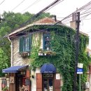 해양대학로 | 칭다오 대학로 후기🔥 왕홍벽 인생샷 + 숨은 감성 골목 다 털고 왔다 (꿀팁 있음)