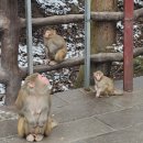 현대카클리닉 석봉점 | 장가계 황석채 케이블카 코스 정리 ｜골프패키지 포함