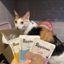 와일드브로스 | 어플라우즈 브로스 습식 파우치 체험 후기