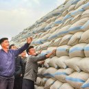 은천농장1 이미지