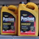 포도모터스 이미지