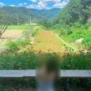 함양대봉산농원 네이버블로그
