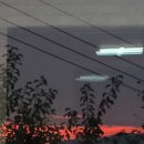 역돔횟집 이미지