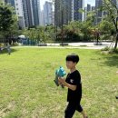 입장 청룡태권도장 이미지