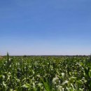 비데랜드 이미지