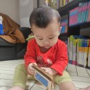 문화 당구클럽 | 웅진 북클럽 오브레인 내돈내산 후기｜설문만 해도 책 무료 증정🎁