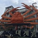 신성발전소 | 영덕 대게축제/해변산책/풍력발전소/일출명소