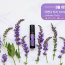 도도테라피 - 부천시 원미구 중동로254번길 35 | 도도테라피
