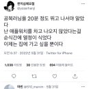 야외걷기 했는데 애플워치가 측정 안해줬어… 이미지