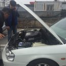 니나식육식당 이미지