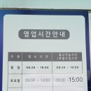 쉐보레북주안 | 8주 3일차 임신증상, 임신중 운전하기