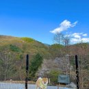 빌라드루이 이미지