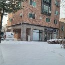 오자매 애견살롱 이미지