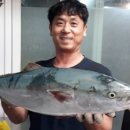 영남횟집 네이버블로그