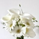 쌍마한신(아) 경로당 | 광명 철산 영등포 부케말리기 윤화공방 찐 후기!