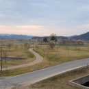 백마강생활체육공원 축구장 이미지