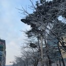 2016년 1월 16일 토요일 북한산 의상능선