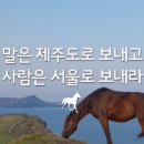 메이크업 | 대구 렛츠메이크업 후기