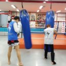 정함체육관 이미지