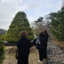 하늘공원 | 울산하늘공원장례식장 수목장 후기