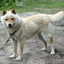 산인-4 Daum카페