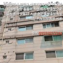 신트리로 Daum카페