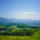 서울이음정형외과의원 이미지