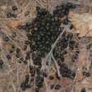 석개재(도 경계) 이미지