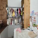 50 | 안양 애니스튜디오 50일 촬영 후기 (내돈내산)