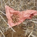 달래농장 이미지