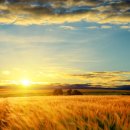 이미영샘내과의원 이미지