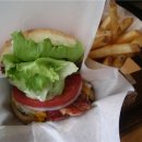 버거15(Burger15) 티스토리