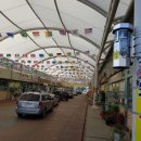 페스콤방역 이미지