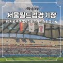 서울월드컵경기장 좌석 시야 주차 FC서울 예매 유니폼 직관 후기
