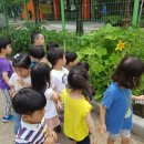 신정6동주민센터 이미지