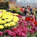 서구청 옥상생태공원 이미지