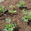 샘터농장 이미지