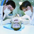 한국생명공학연구원(국가영장류센터) 중앙일보