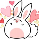 보령주교관창한우타운