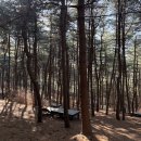 순흥안씨양도공파묘군 | 금천구 시흥4거리에서 호암산 잣나무 산림욕장 가는 길