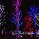 장대공원 이미지