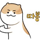 팀에이치알