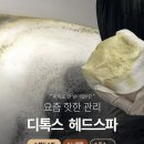 아루아 이미지