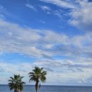 시청 구지관 화장실(서관) | 제주 파르나스 호텔 - 프리미어 킹 룸, 수영장, 헬스장, 본에스티스 스파 후기