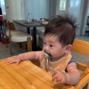 경포산장 | 2026.06.09-06.11 / D+260-262 / 2박3일 강릉 여행