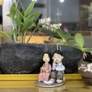 행복이 있는 정철학 이미지