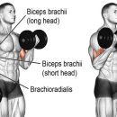 밸런스랩 근골격 운동센터 이미지