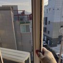 (주)홈시스 | 대전방충망 진영홈시스와 함께라면 벌레 걱정은 노땡큐