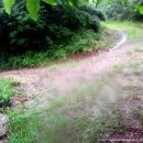 세포삼거리 이미지